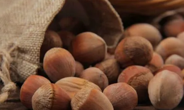 榛子泡水多久开口,榛子开口是硫酸泡的吗图1