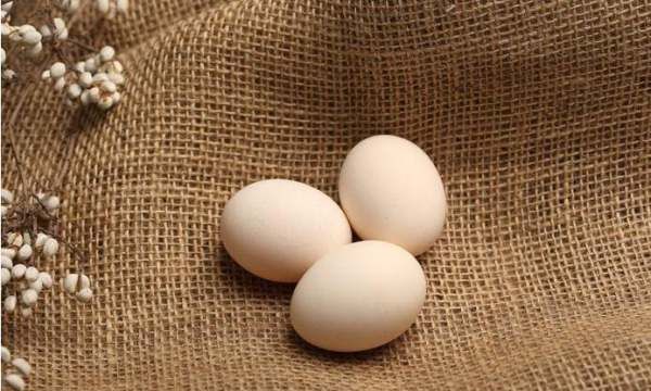 公鸡蛋和母鸡蛋的区别,公鸡蛋与母鸡蛋的区别是什么呢图6