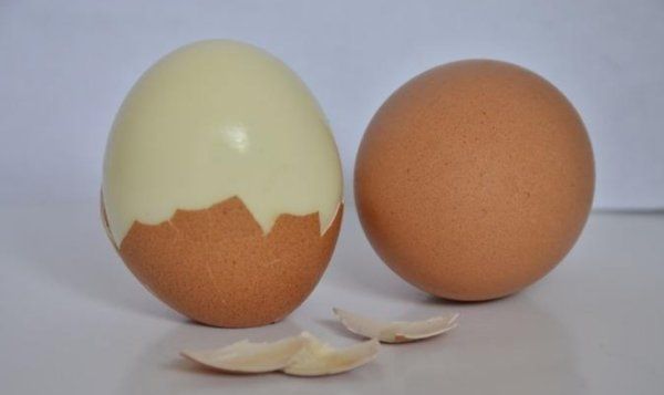 公鸡蛋和母鸡蛋的区别,公鸡蛋与母鸡蛋的区别是什么呢图5