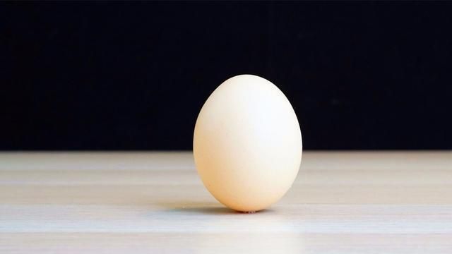公鸡蛋和母鸡蛋的区别:鸡蛋分不分公母怎样分辨