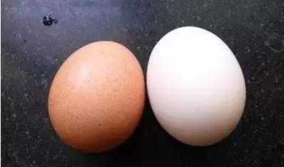 公鸡蛋和母鸡蛋的区别:公鸡蛋和母鸡蛋怎么区分