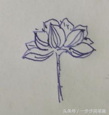 荷花怎么画简笔画步骤图解（少儿简笔画一学就会）(6)