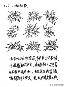 画小草怎么画简单又好看 小草细节,弯折交叉,锦上添花