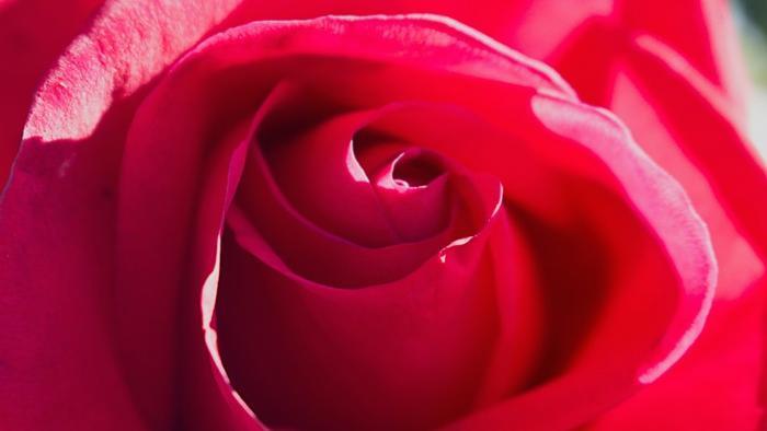 其实射手座才有心机 喜欢装傻很危险