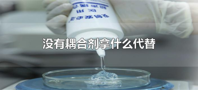 没有耦合剂拿什么代替(耦合剂没有了可以用别的代替吗)
