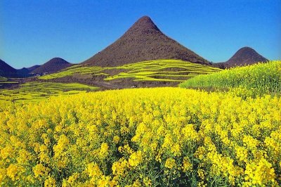 ​被人遗忘的多依河