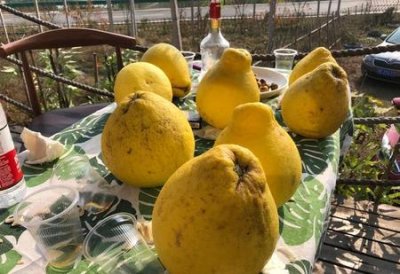 ​宝宝感冒了能吃什么水果(宝宝感冒流鼻涕能吃什么水果)