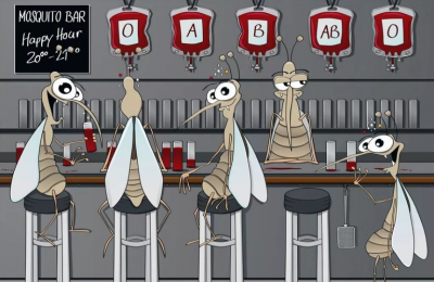 ​a型血招蚊子吗（ 为什么a型血容易招蚊子）