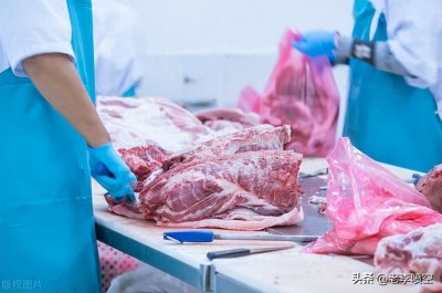 ​年底生猪价格走势预测：供给端透露了哪些信号？