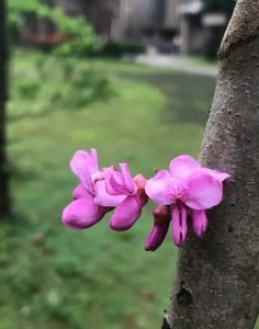 ​前列腺炎是怎么引起的原因(前列腺炎因为什么原因造成的)