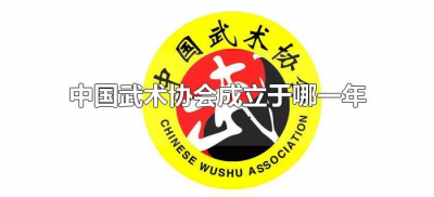 中国武术协会成立于哪一年(中华武术协会成立时间)