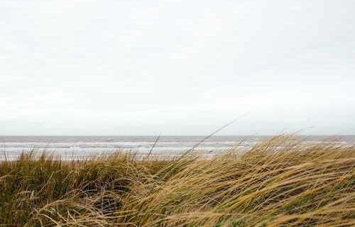 网络图片(侵删)