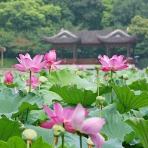 如何撩妹找话题,跟女人聊这4个话题就能立竿见影