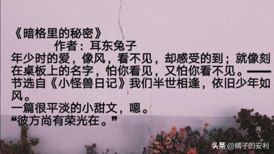 ​耳东兔子的文你看过几本，《他从火光中走来》《暗格里的秘密》！