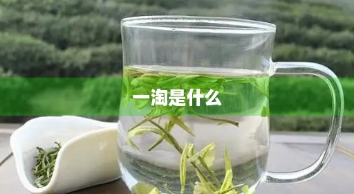 一淘是什么