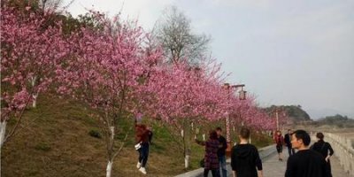 和女孩子聊天的套路(女孩子聊天的套路)