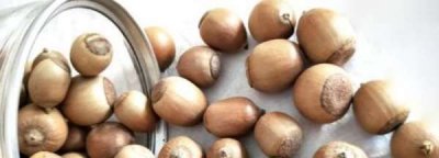 橡实是什么东西,搞笑一家人橡实是什么东西