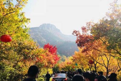 谷秋的寓意,六月六看谷秋的意思?