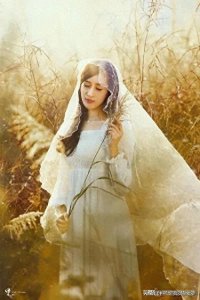 ​这些星座天生就有凤凰的生命