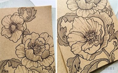 ​线描花卉教程，手把手教你画，走进线条的神奇世界