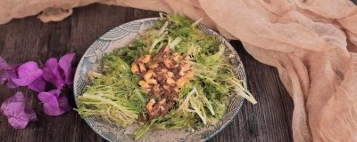 苦菊能不能生着吃