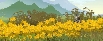 寒露节气开什么花