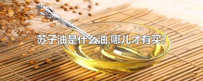 苏子油是什么油,哪儿才有买?
