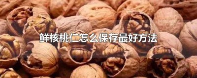 鲜核桃仁怎样保存最好 新鲜核桃仁的保存方法