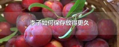 李子怎么能保存时间长 李子可以保鲜多久