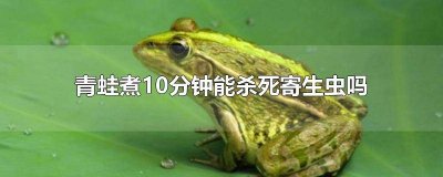 ​青蛙煮10分钟能杀死寄生虫吗