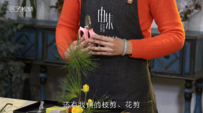 ​书房花卉怎么选择