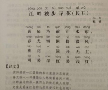 古诗江畔独步寻花黄师塔前江水东全诗文(一起来了解一下这首诗)