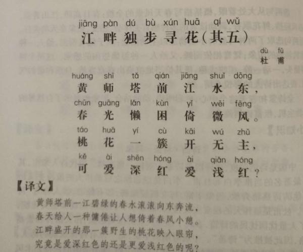古诗江畔独步寻花黄师塔前江水东全诗文(一起来了解一下这首诗)