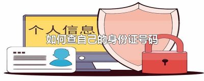如何查自己的身份证号码