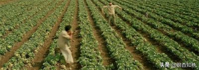 调音师影评-高达50处反转+烧脑结局,外加渐次深入的人性之恶