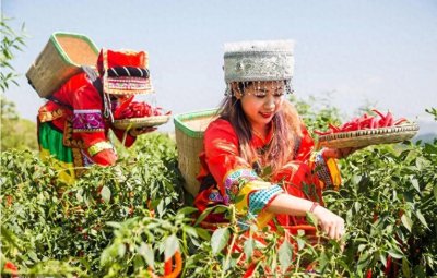 ​我国有名的青椒产地在哪？中国这10个青椒著名产地，你认识几个？