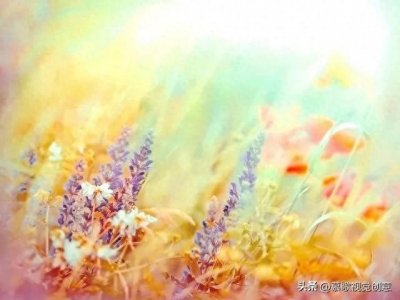 ​和“情”字有关的词语和人生哲理