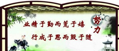 ​业精于勤而荒于嬉，对业精于勤而荒于嬉的看法？