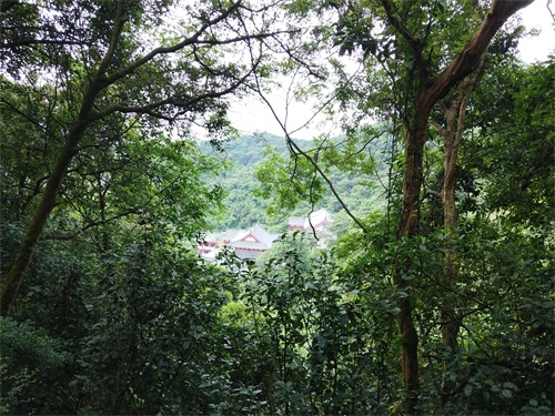 东莞长安莲花山郊野公园