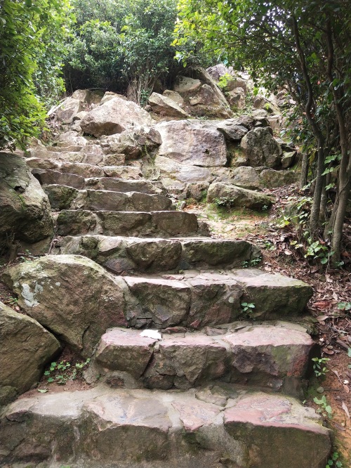 东莞长安莲花山郊野公园