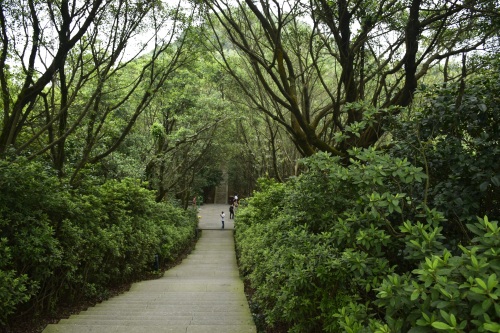 东莞长安莲花山郊野公园