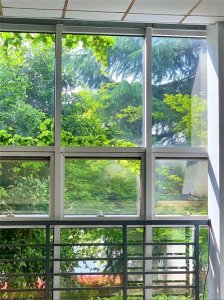 ​孟加拉国的美女众多，却没有中国男人想娶，原因让人意想不到