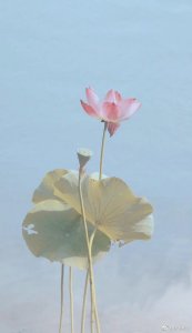 ​男人如果动情，这3种肢体语言最能证明，其他都是虚的