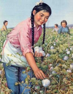 ​空间文：她重生八零，幸好随身有空间大超市，生活日常，应有尽有