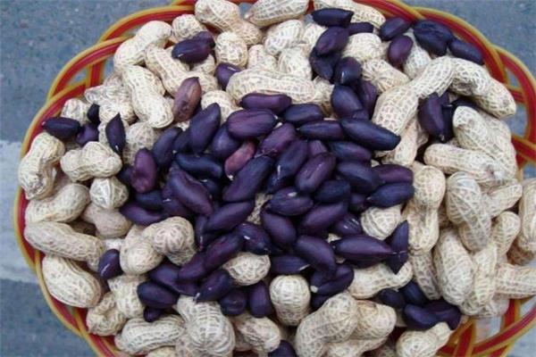 黑皮花生和红皮花生哪个好 黑皮花生怎么吃 黑皮花生和红皮花生哪个好 黑皮花生怎么吃