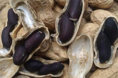 ​黑皮花生和红皮花生哪个好 黑皮花生怎么吃