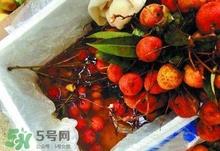 荔枝为什么要用药水泡？荔枝药水浸泡是否安全？
