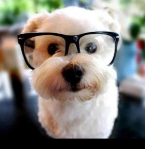 ​赵丽颖和冯绍峰现在感情好吗(冯绍峰为什么和倪妮分手和赵丽颖结婚)