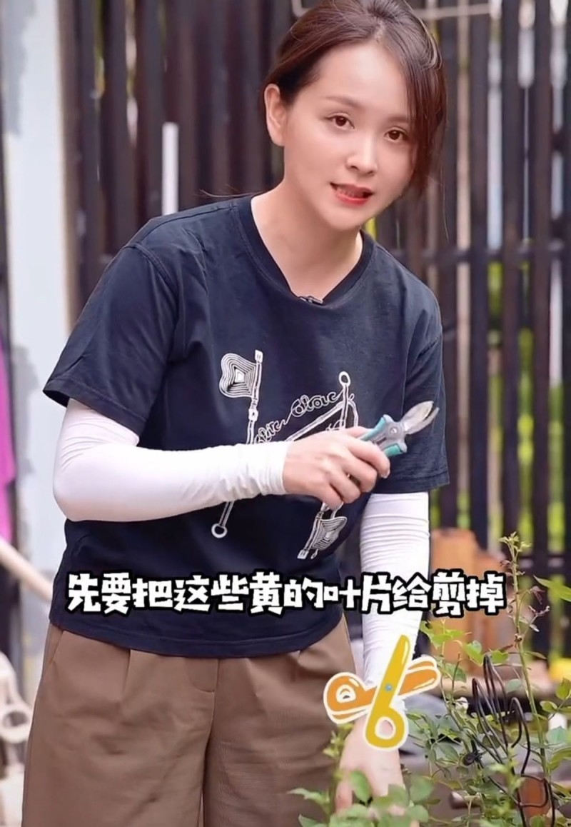 邓莎个人资料老公是谁（邓莎小腹微凸被疑怀二胎？