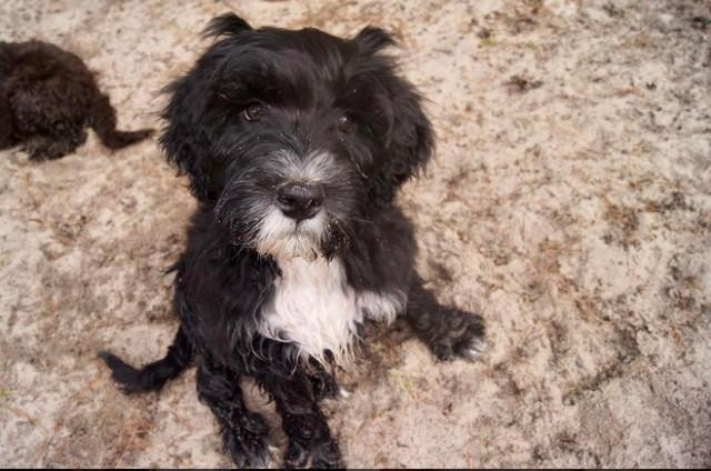 余文乐的身高(余文乐街头拿着雪糕吃被拍 )